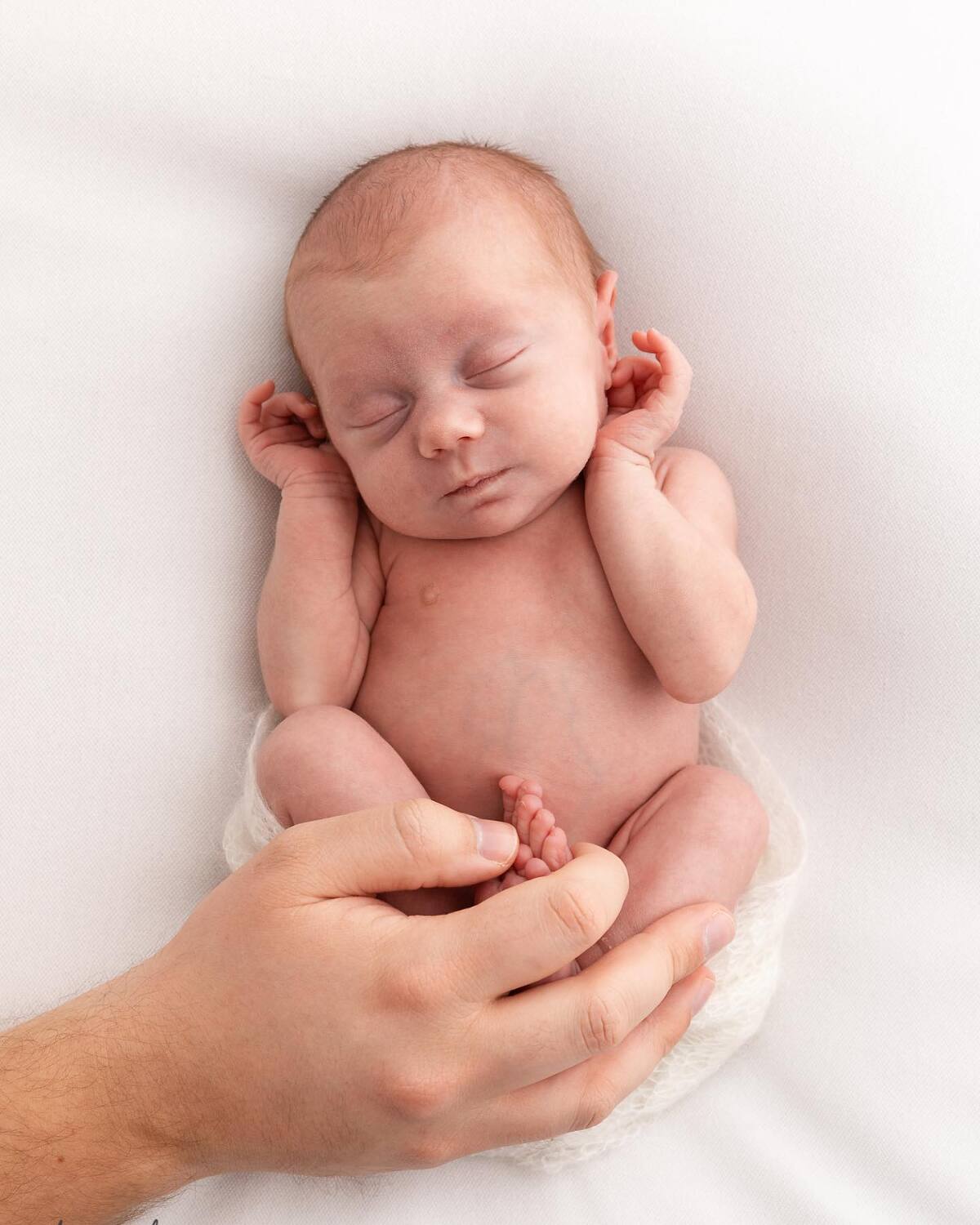 sødeste nyfødt fotograferet med fars hånd